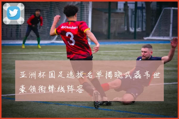 亚洲杯国足选拔名单揭晓武磊韦世豪领衔锋线阵容