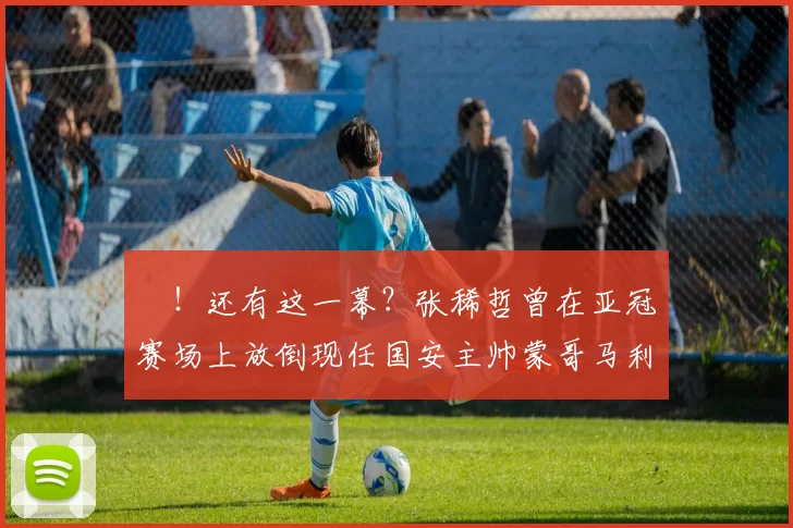 囧！还有这一幕？张稀哲曾在亚冠赛场上放倒现任国安主帅蒙哥马利_比赛_战术_足球