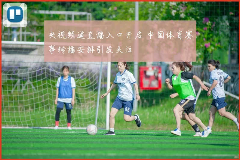 央视频道直播入口开启 中国体育赛事转播安排引发关注
