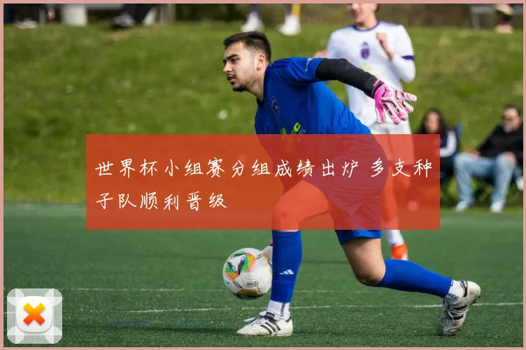世界杯小组赛分组成绩出炉 多支种子队顺利晋级