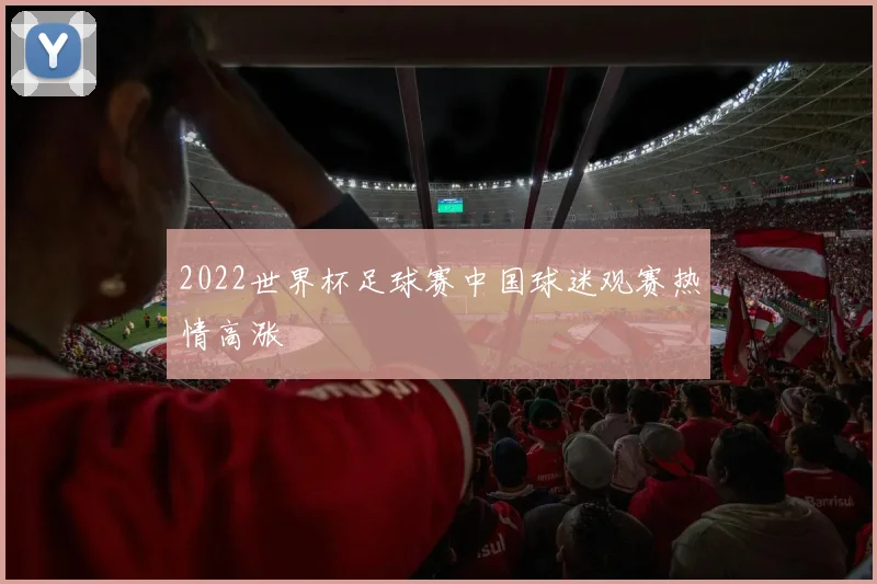 2022世界杯足球赛中国球迷观赛热情高涨